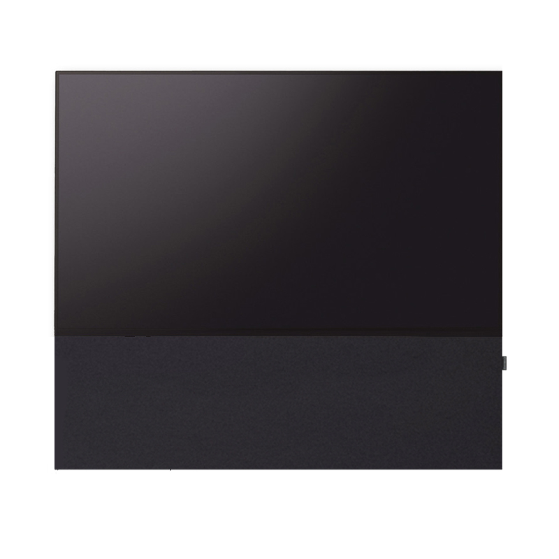 CANVAS 55"